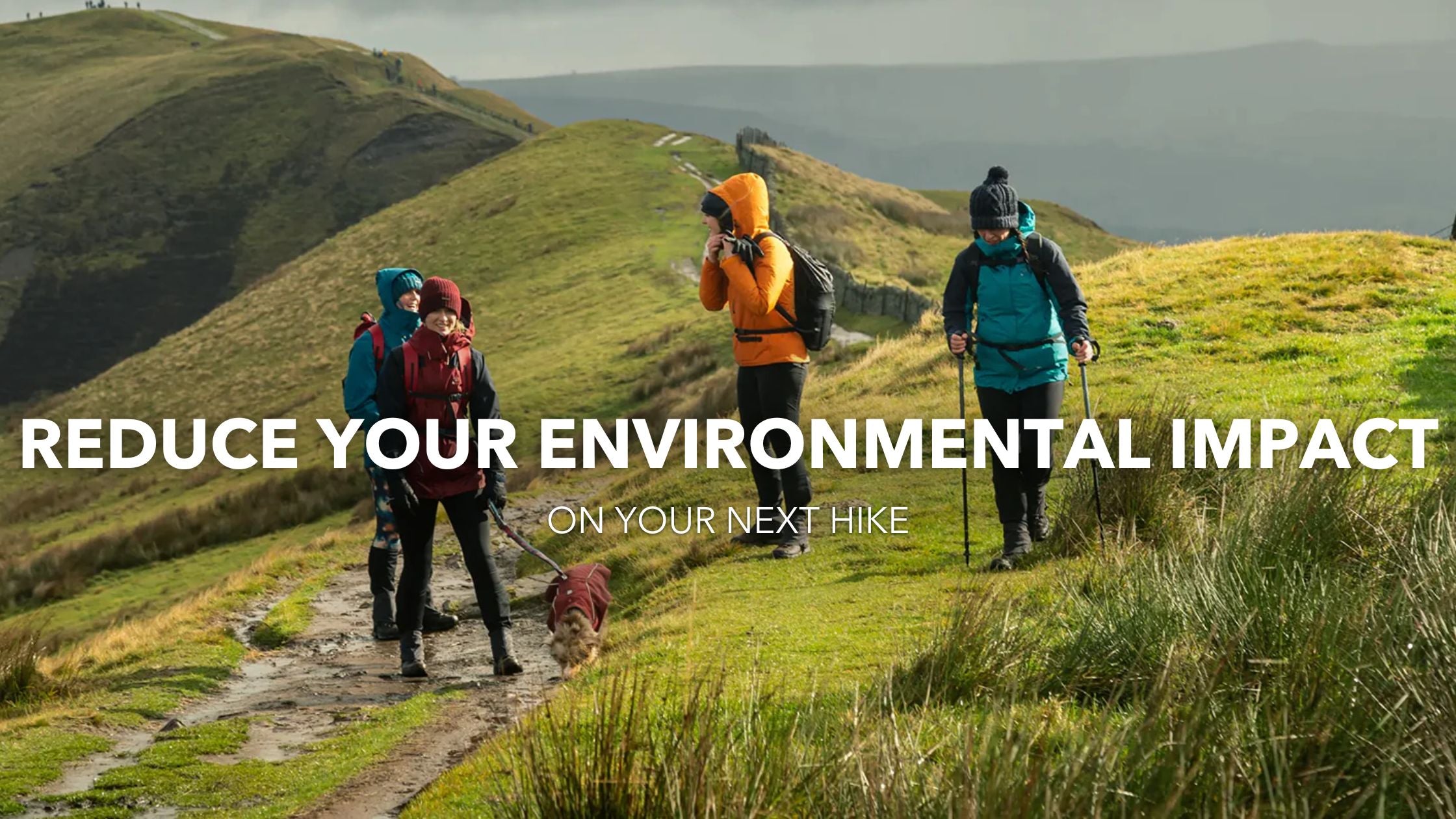 5 Easy Ways to Reduce Your Environmental Impact on Your Next Hike
