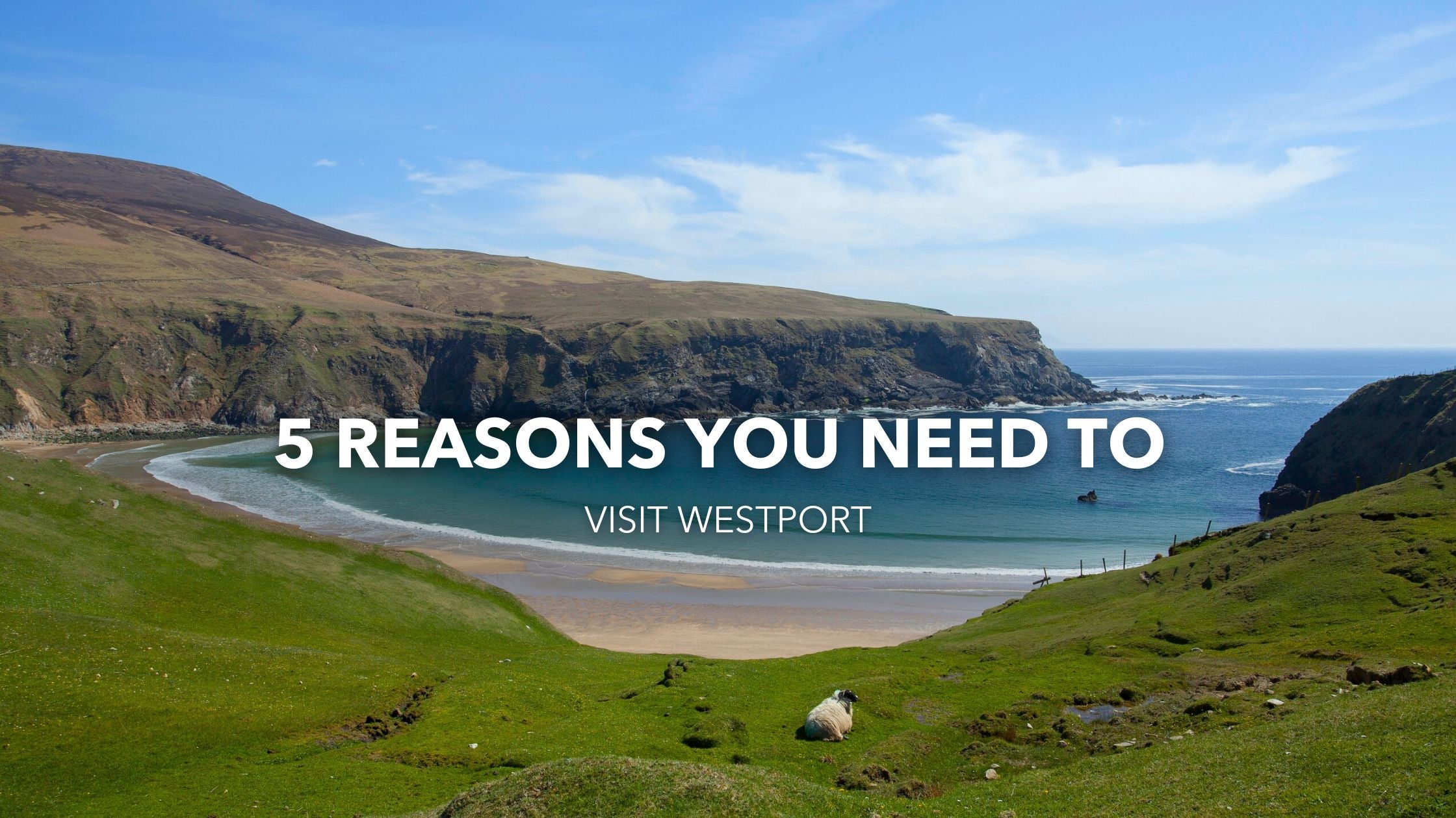 5 Reasons You Need to Visit Westport