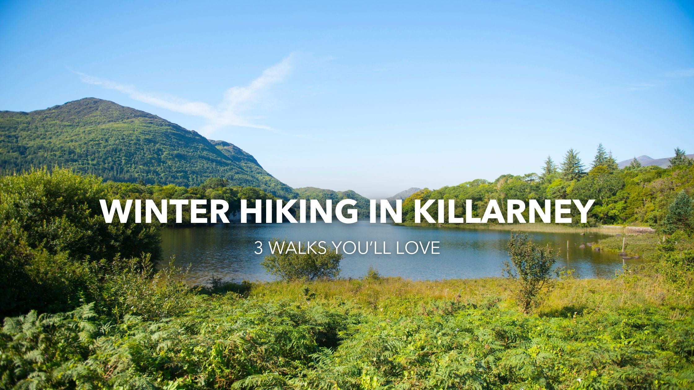 Winter Walking in Killarney