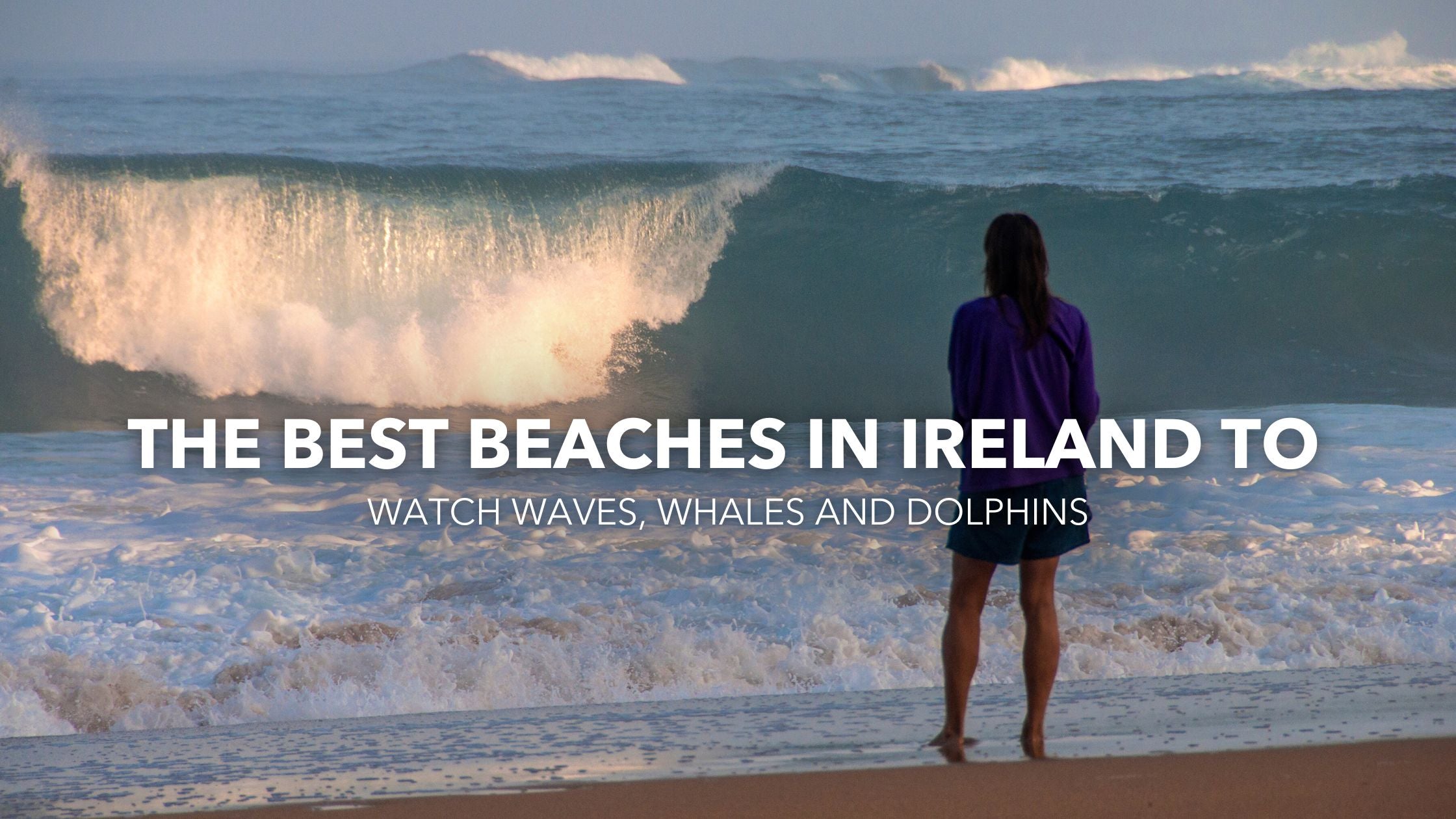 The best beaches in Ireland to watch waves, whales and dolphins