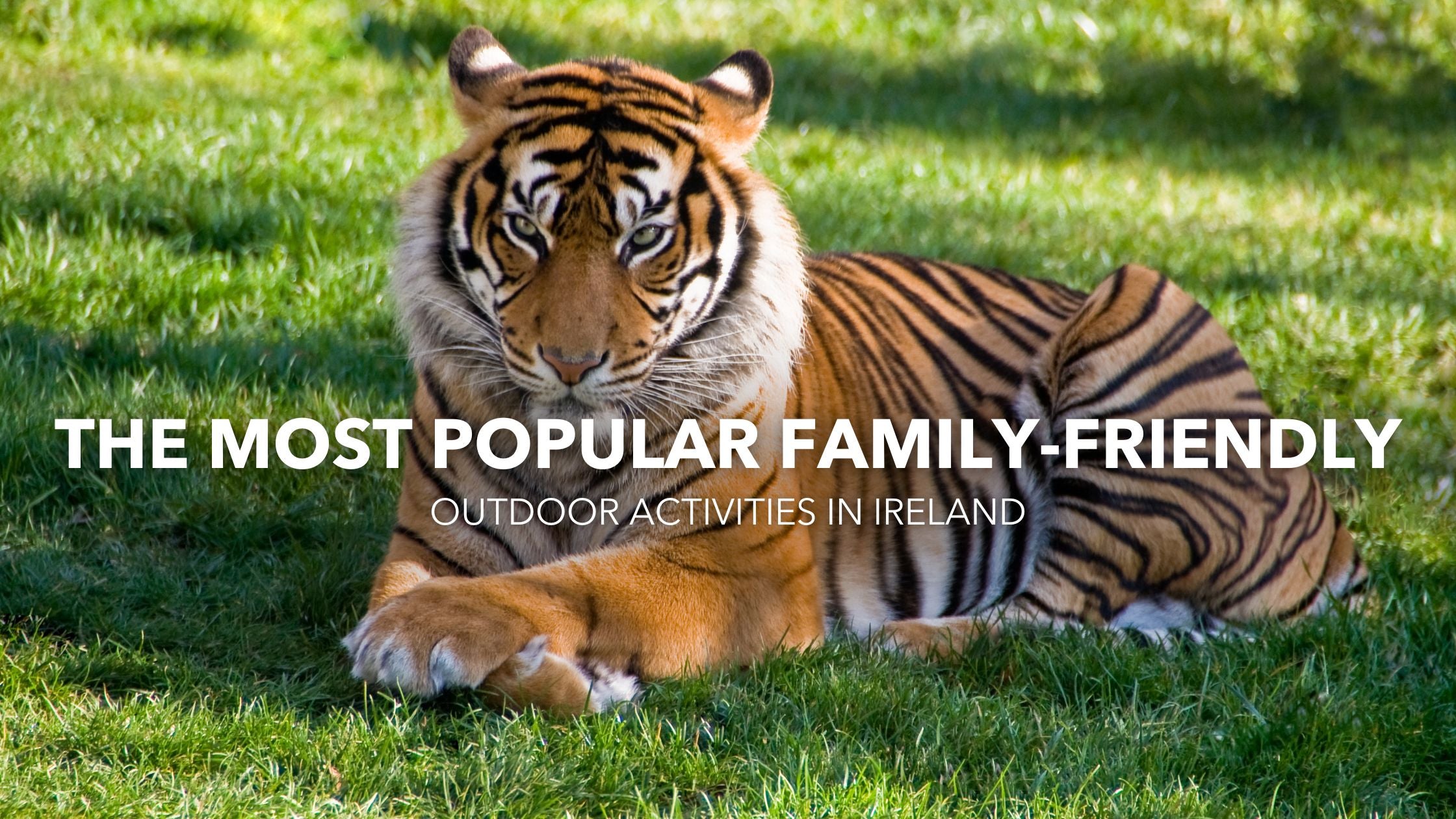 The Most Popular Family-Friendly Outdoor Activities in Ireland