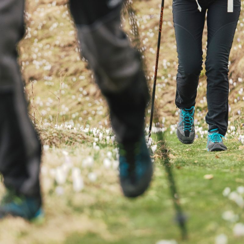 Hiking Footwear