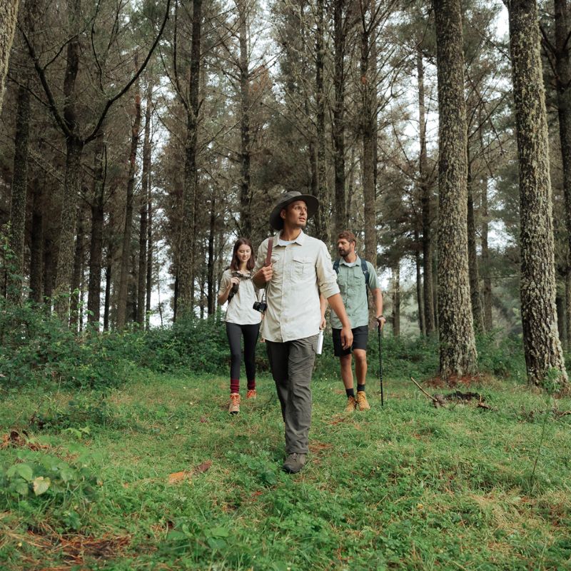 Hiking & Walking Tops