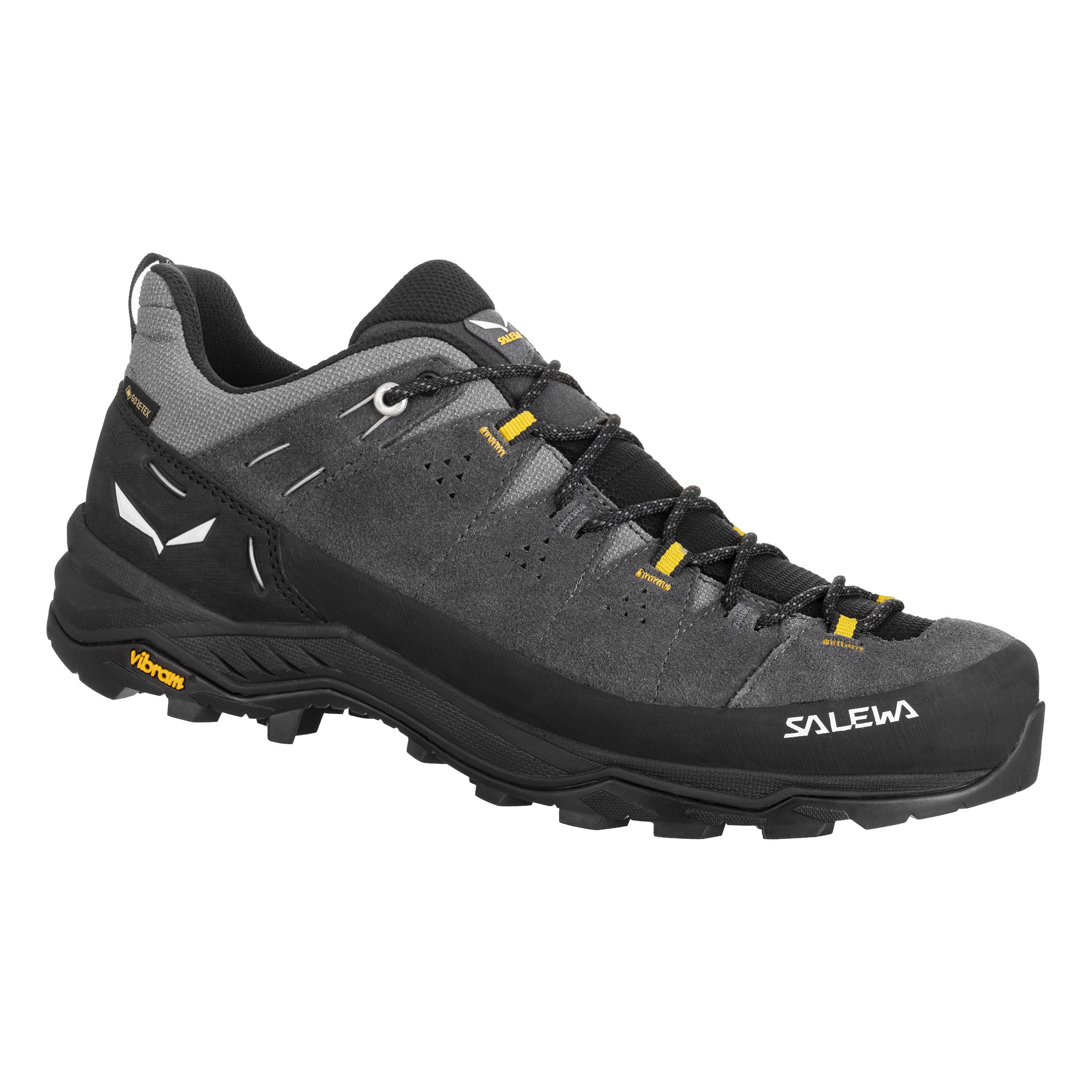 Men's Alp Trainer 2 Gore-Tex® Shoe | Salewa | Portwest - The Outdoor Shop