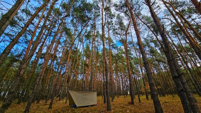 Trekmates Waterproof Hexagon Tarp | Trekmates | Portwest - The Outdoor Shop