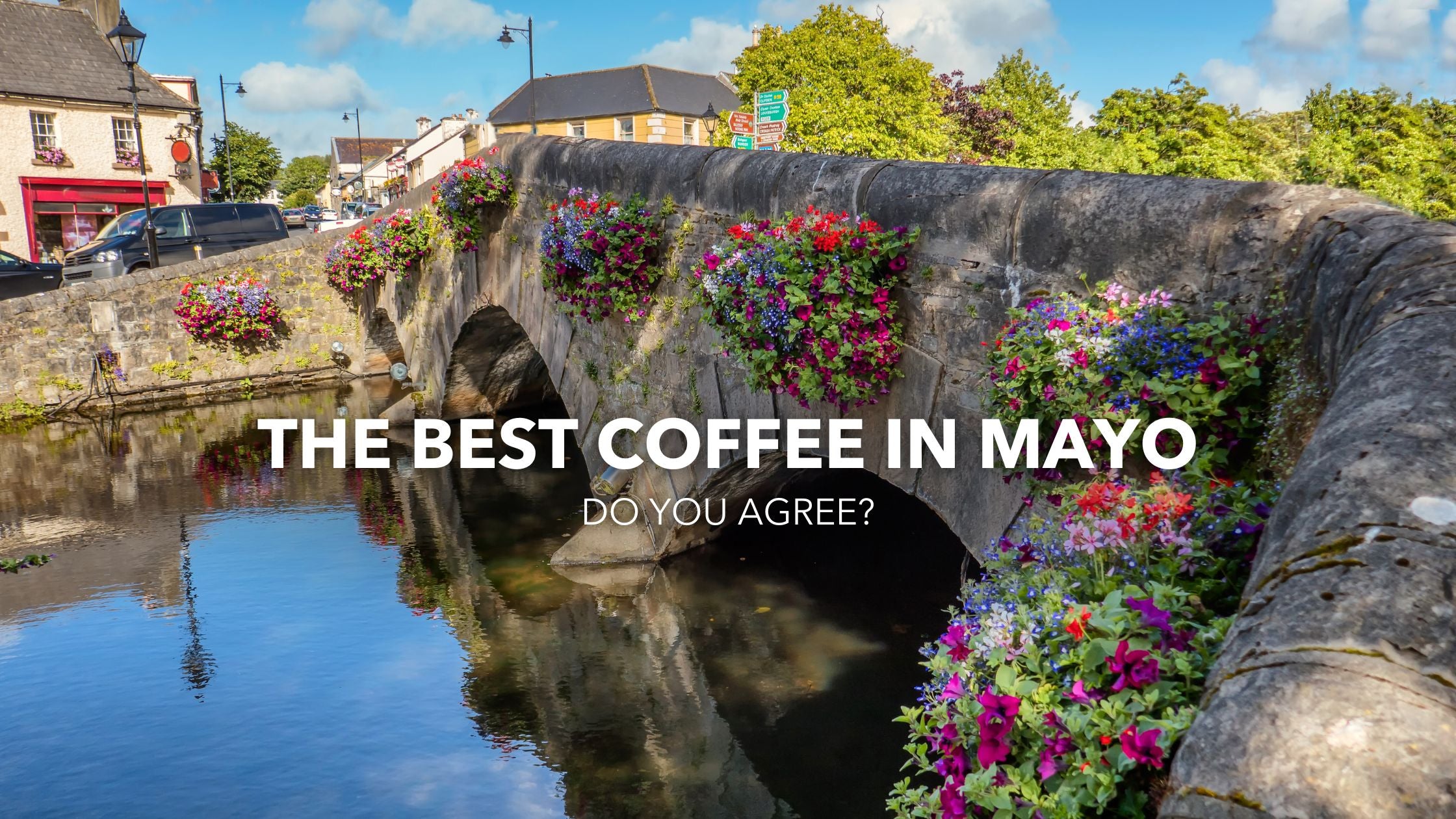 The Best Coffee In Mayo