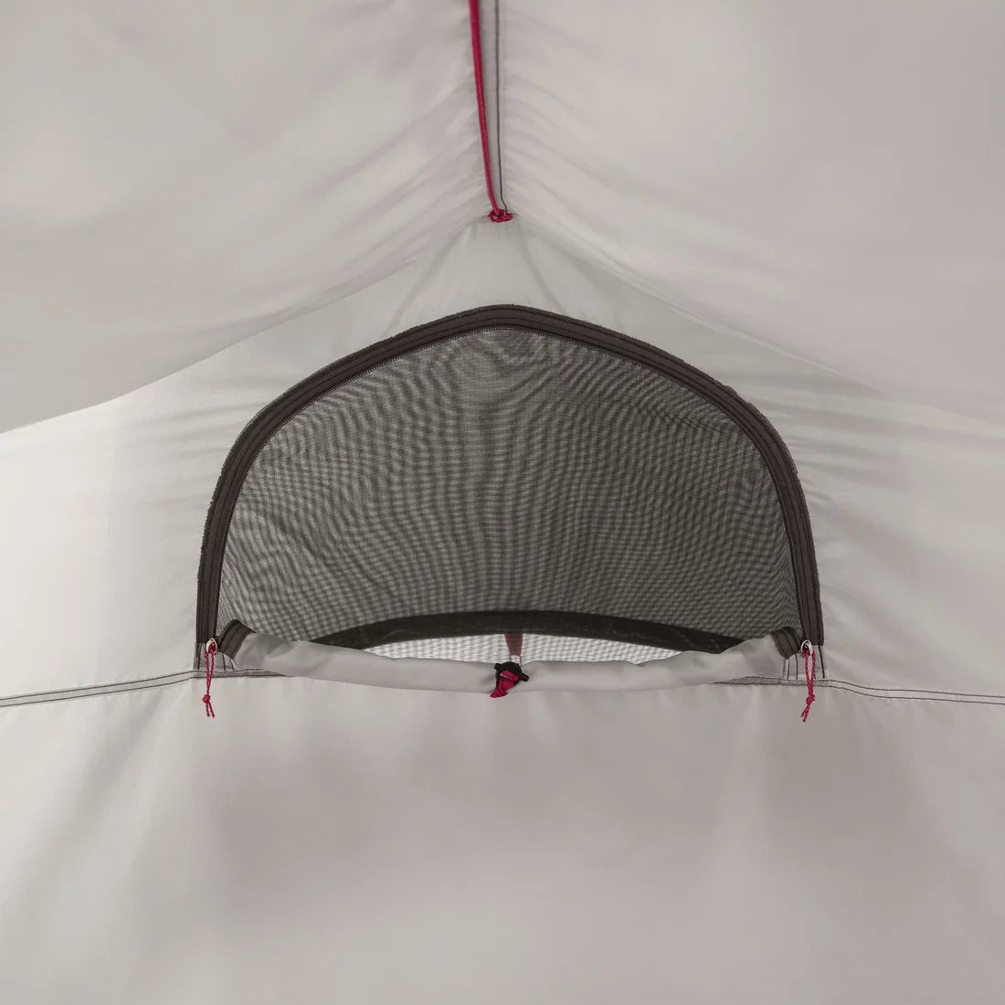 MSR Tindheim™ 3 Backpacking Tunnel Tent