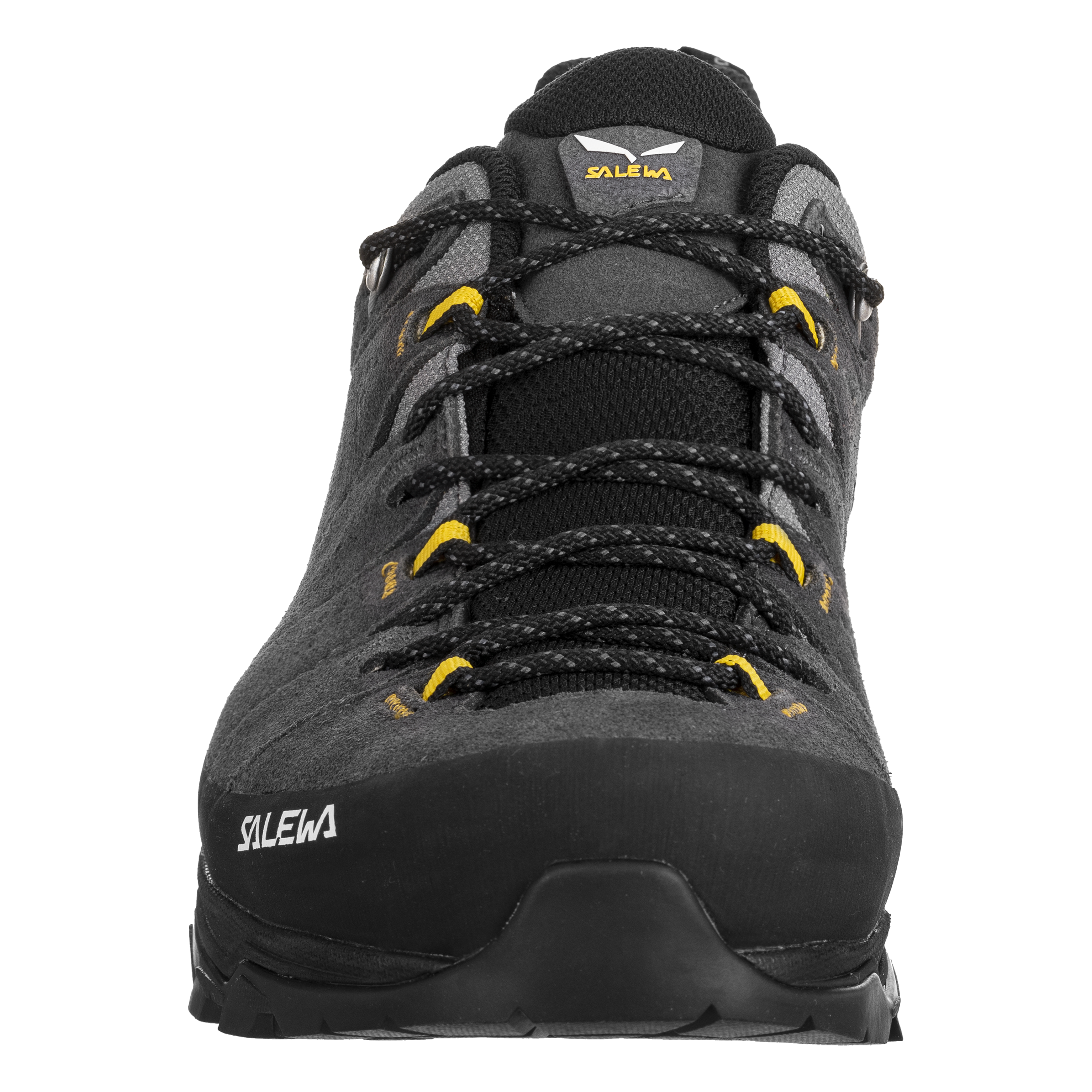 Men's Alp Trainer 2 Gore-Tex® Shoe
