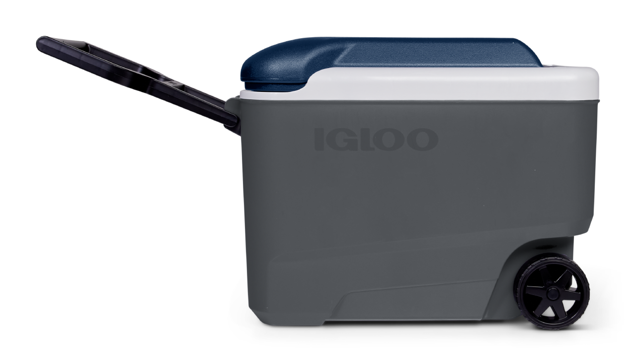 Igloo Maxcold 40QT Roller Cooler | Igloo | Portwest - The Outdoor Shop
