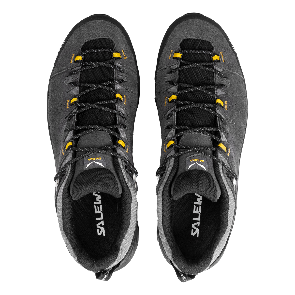 Men's Alp Trainer 2 Gore-Tex® Shoe | Salewa | Portwest - The Outdoor Shop