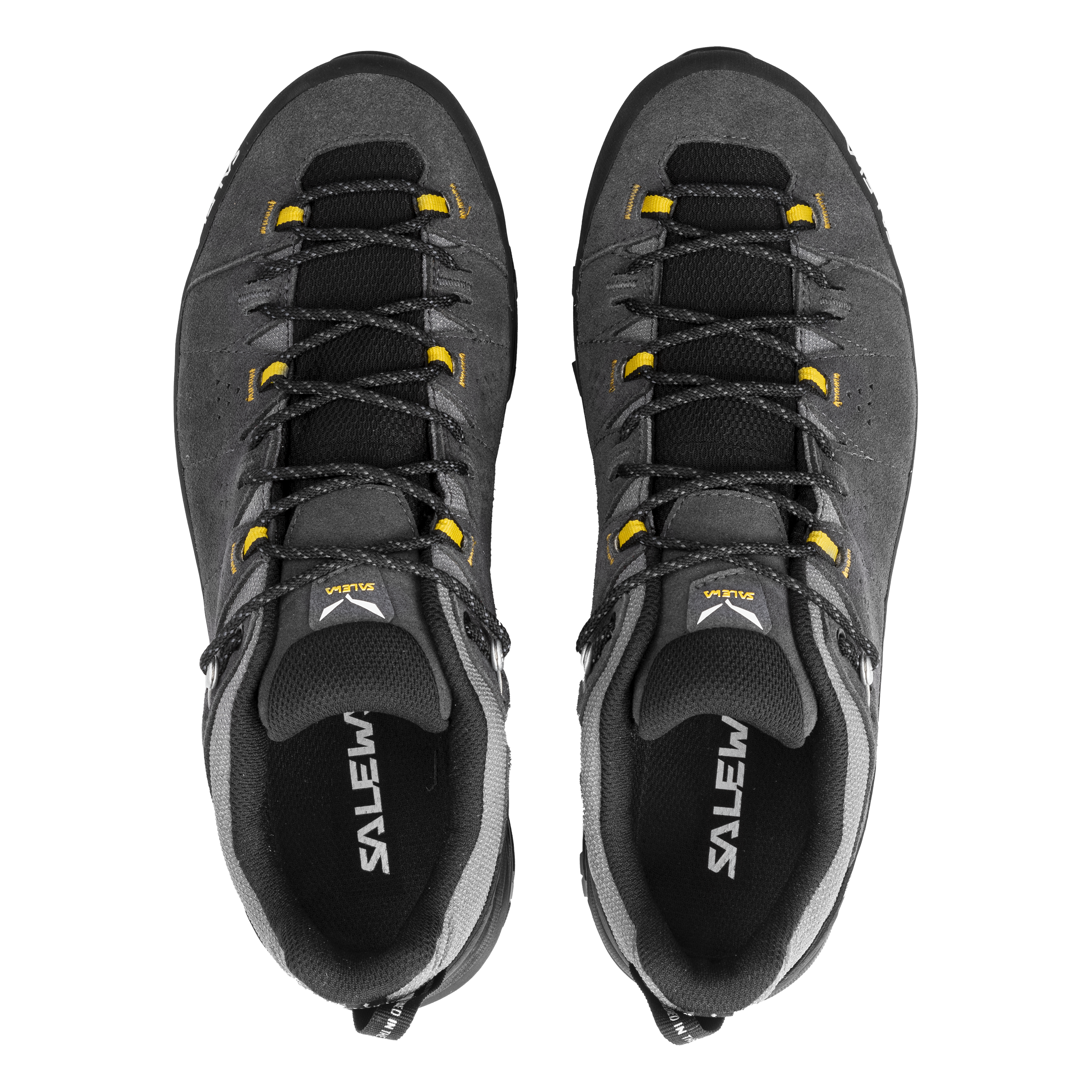 Men's Alp Trainer 2 Gore-Tex® Shoe