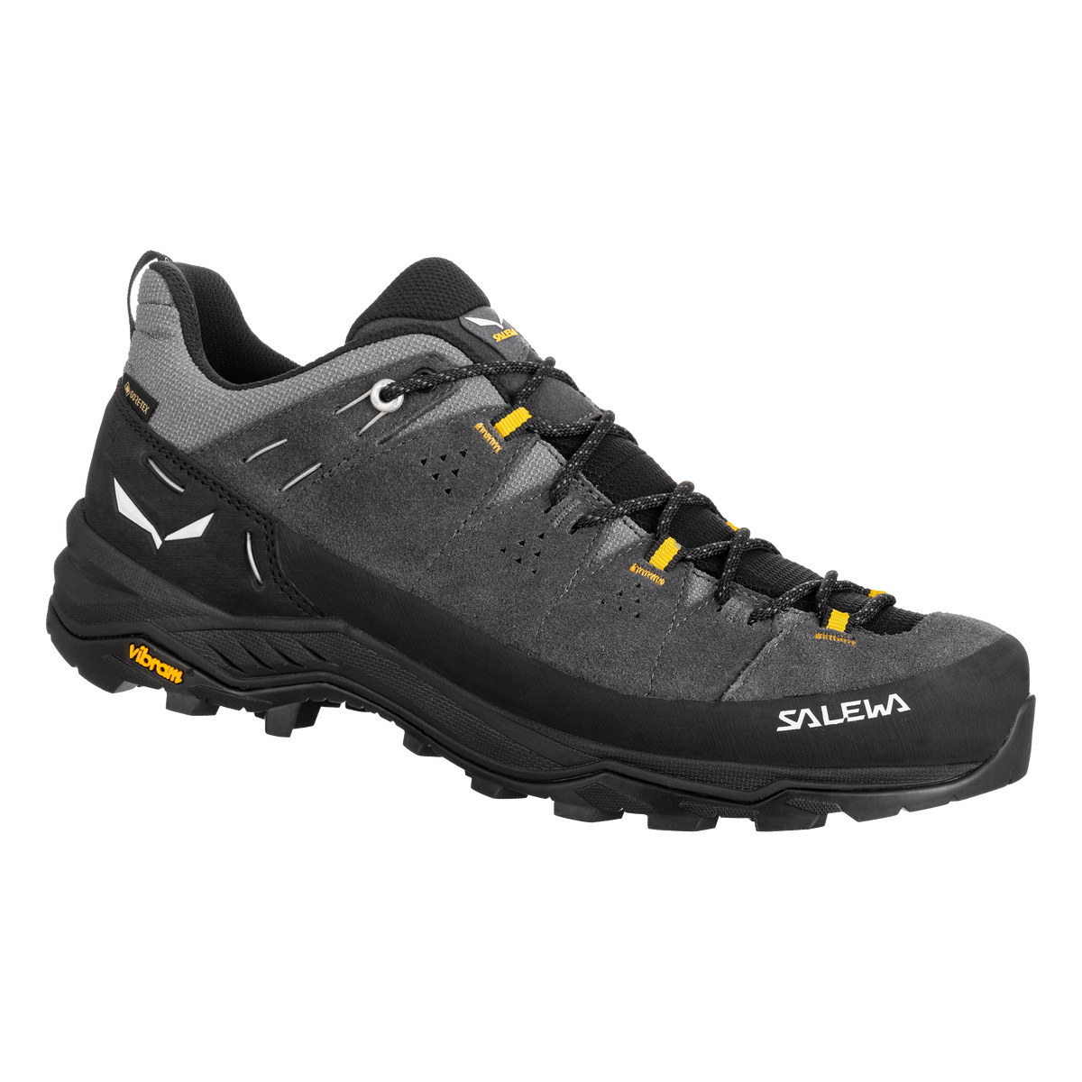 Men's Alp Trainer 2 Gore-Tex® Shoe | Salewa | Portwest - The Outdoor Shop