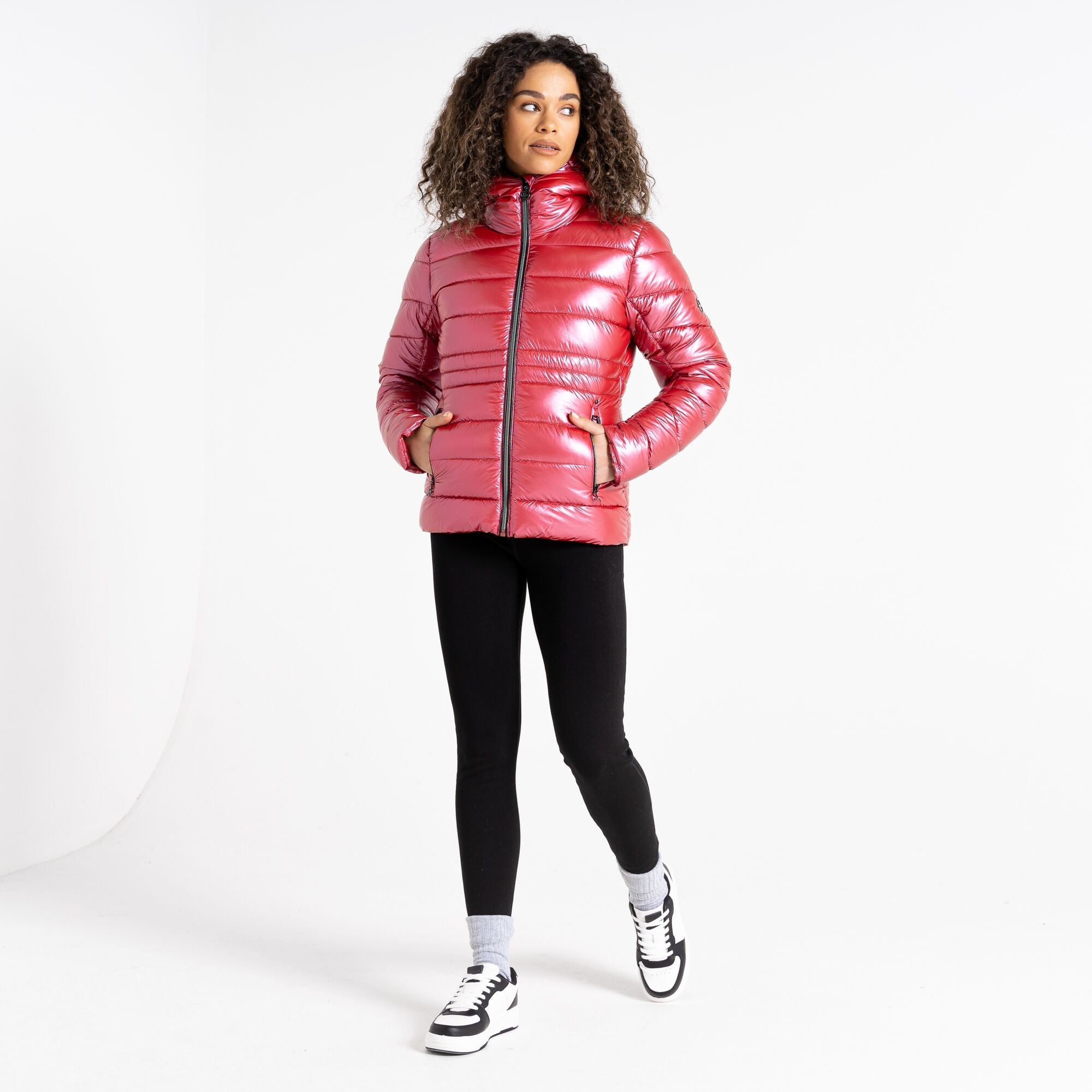 Dare2B Reputable II Puffer Jacket | Dare2B | Portwest - The Outdoor Shop