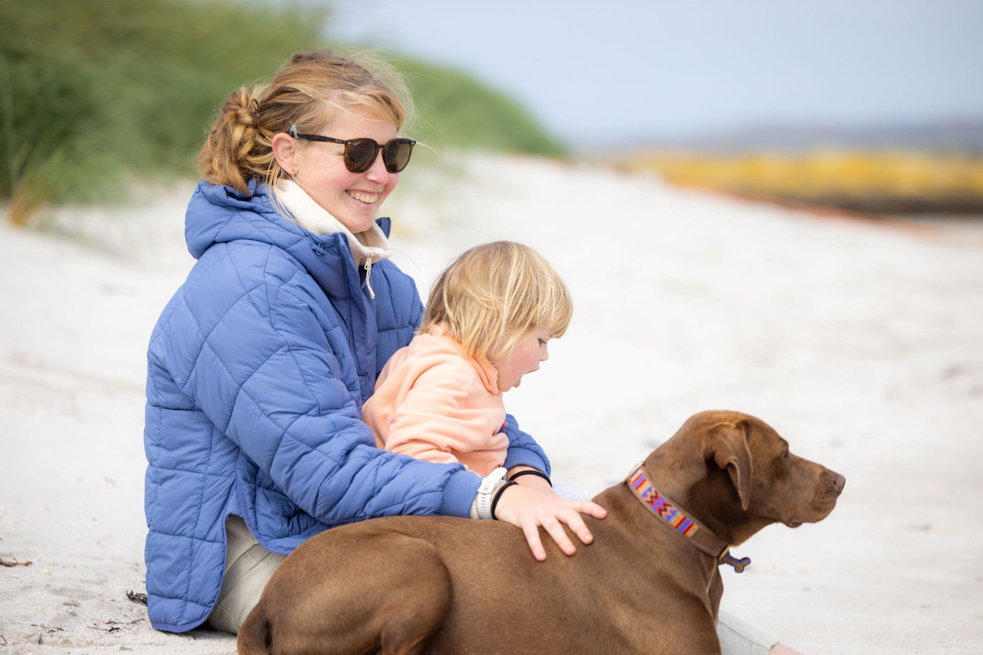 Women's Airsquare Jacket | Portwest | Portwest - The Outdoor Shop