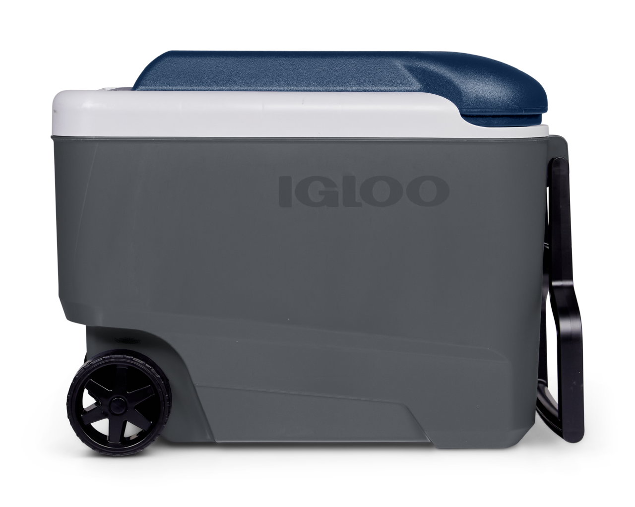 Igloo Maxcold 40QT Roller Cooler | Igloo | Portwest - The Outdoor Shop