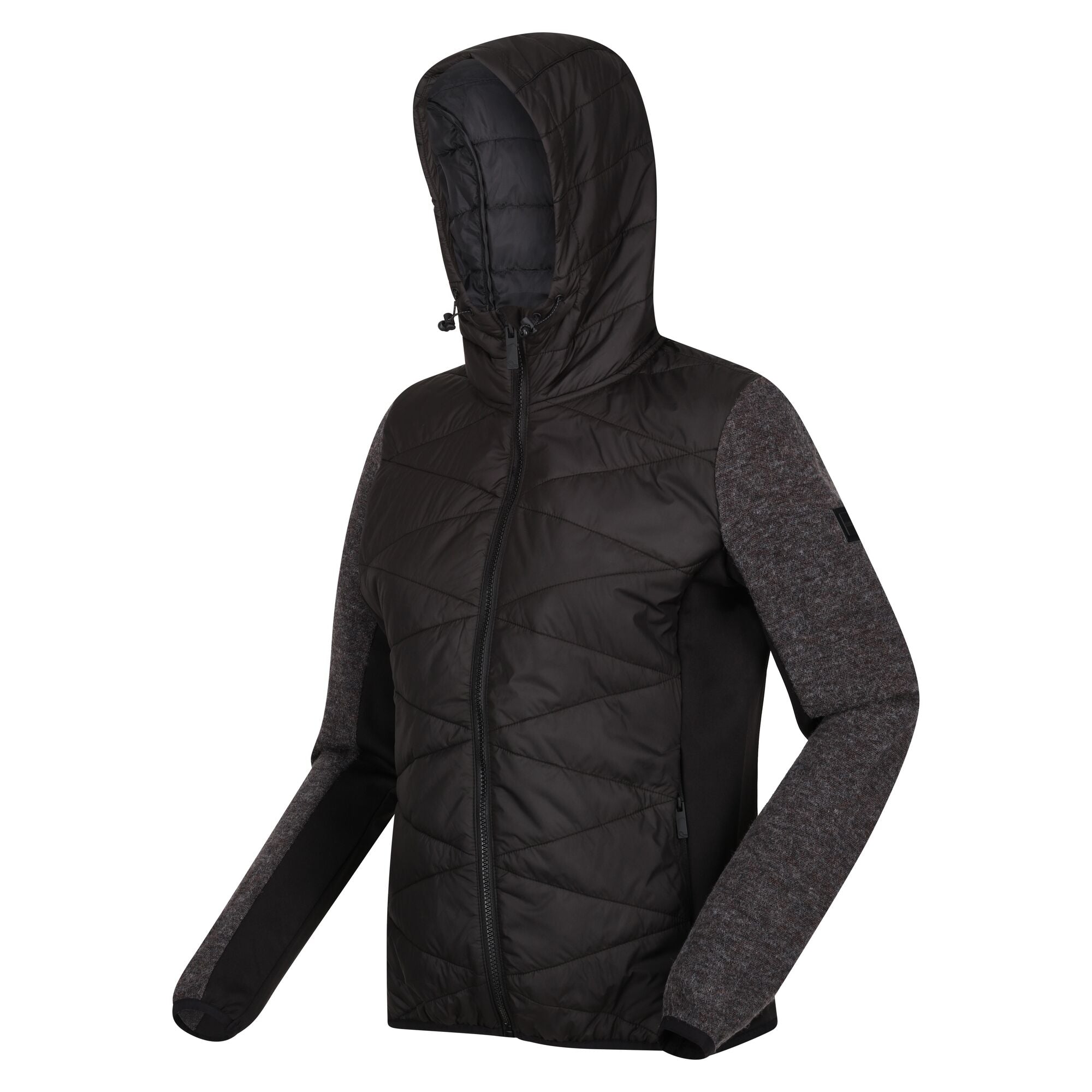 Regatta Womens Pemble IV Hybrid Softshell | Regatta | Portwest - The Outdoor Shop