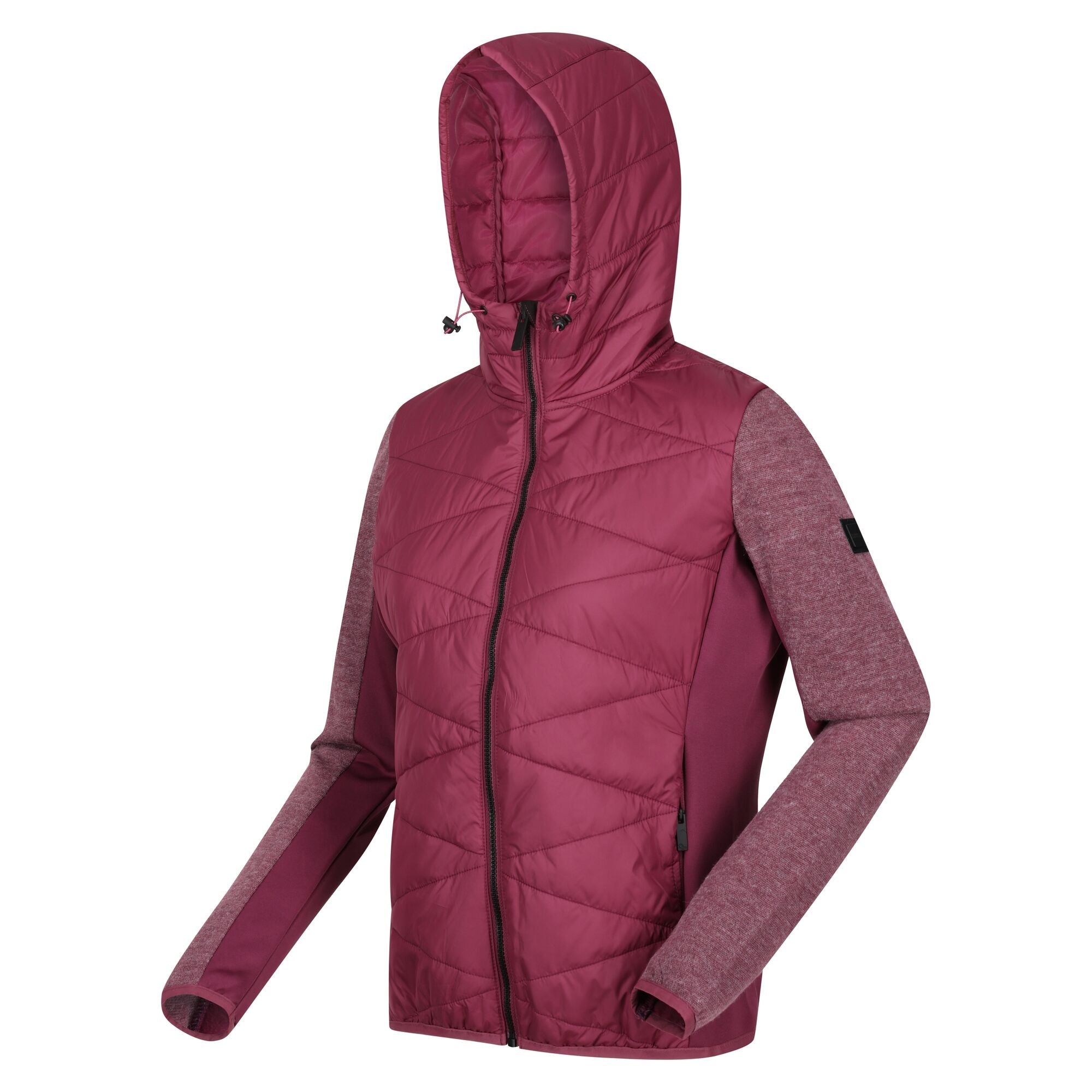 Regatta Womens Pemble IV Hybrid Softshell | Regatta | Portwest - The Outdoor Shop