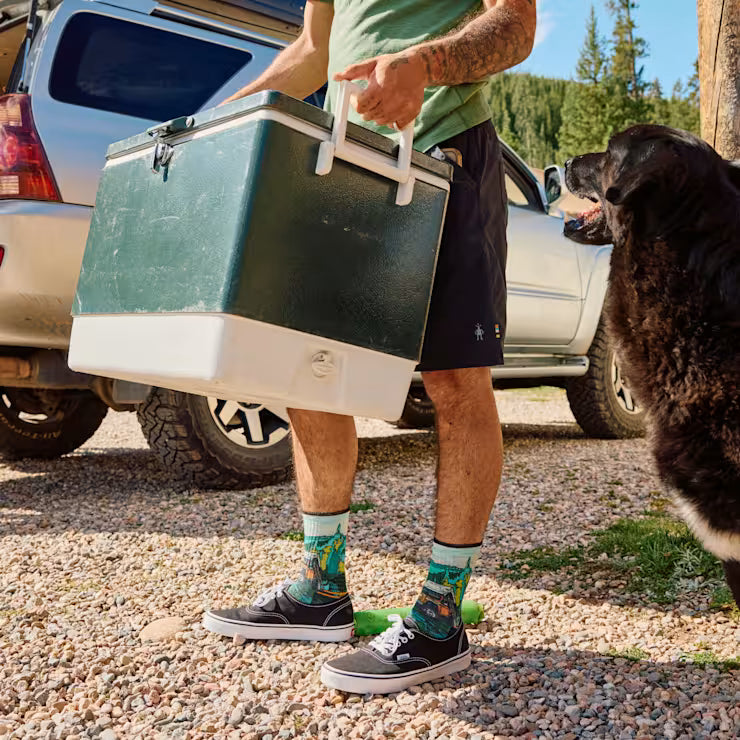 Smartwool Hike Targeted Cushion Trail Trekker Print Crew Socks | Smartwool | Portwest - The Outdoor Shop