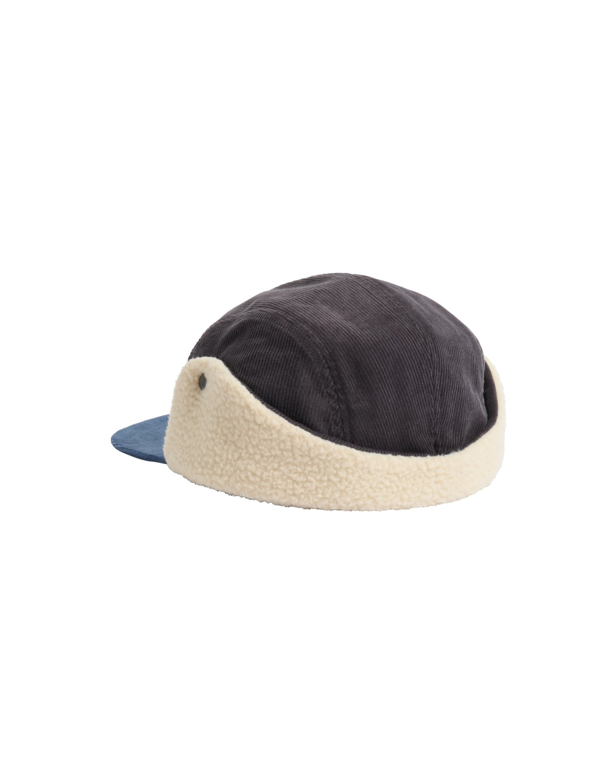 Passenger Daytime Sherpa Lined Hat