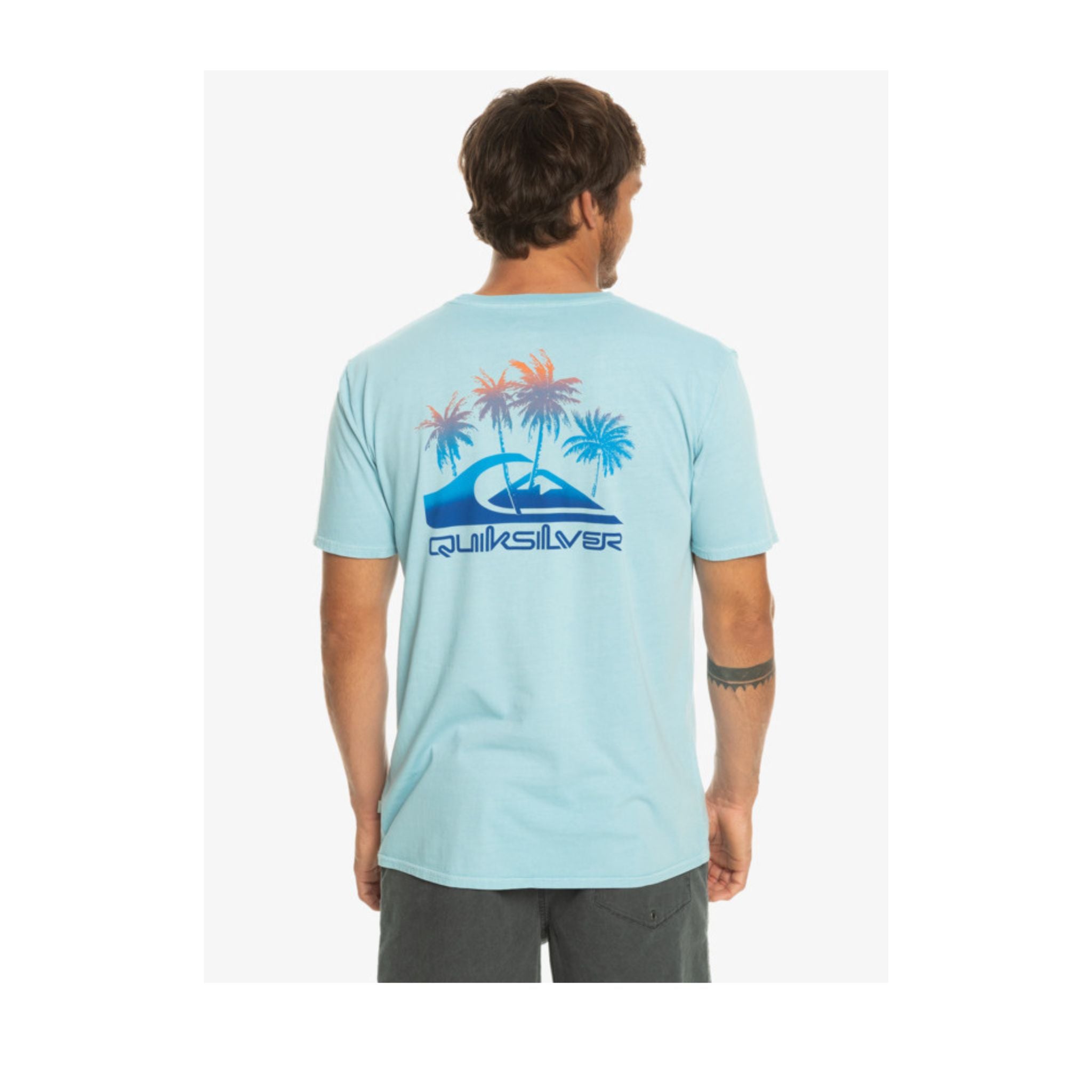 Quiksilver Pastime Paradise Men's T-Shirt | Quiksilver | Portwest - The Outdoor Shop