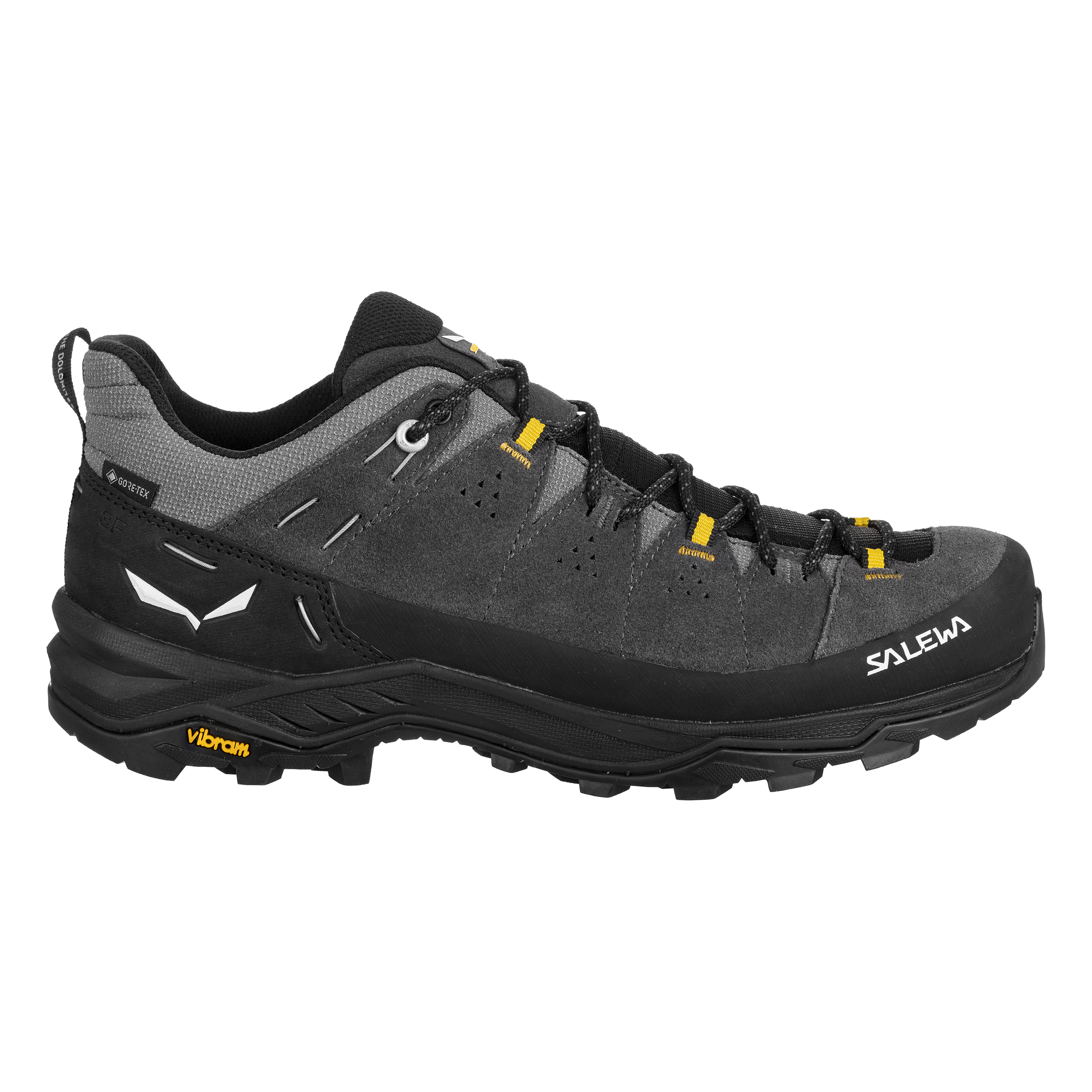 Men's Alp Trainer 2 Gore-Tex® Shoe