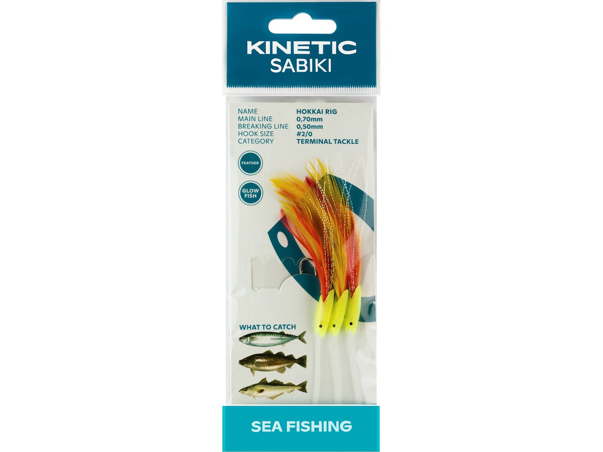 Kinetic SABIKI HOKKAI