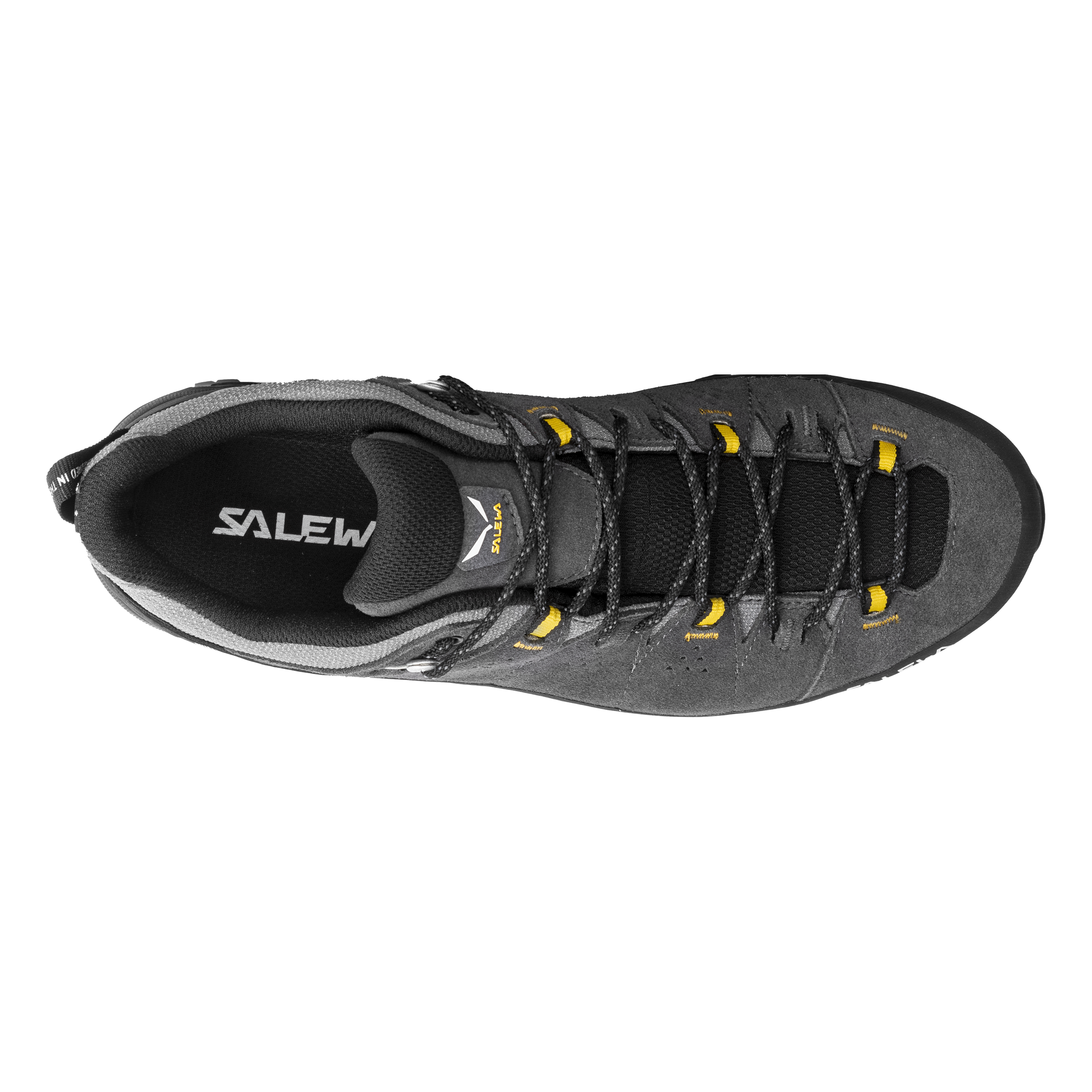 Men's Alp Trainer 2 Gore-Tex® Shoe
