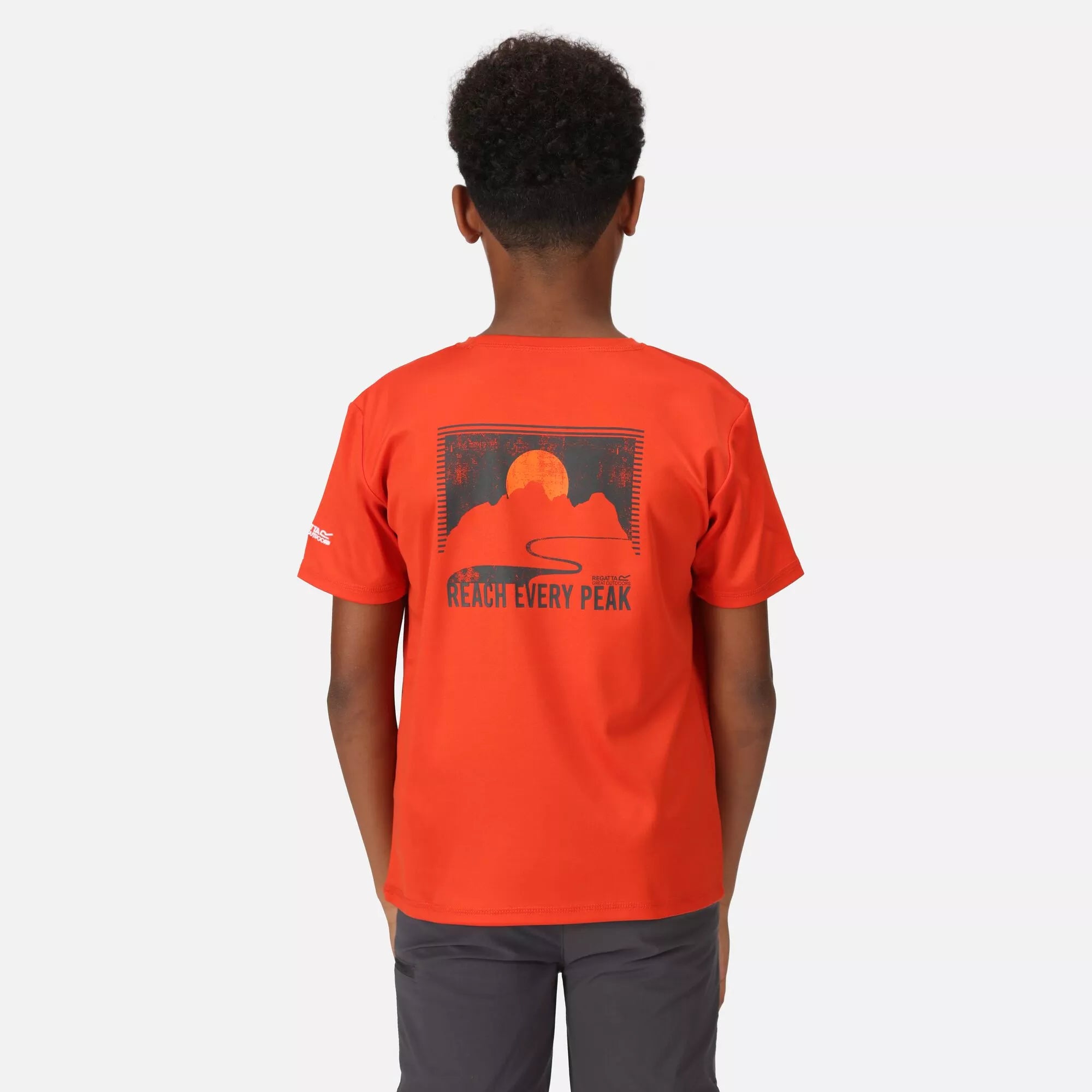 Regatta Alvarado VII Graphic T-Shirt | Regatta | Portwest - The Outdoor Shop