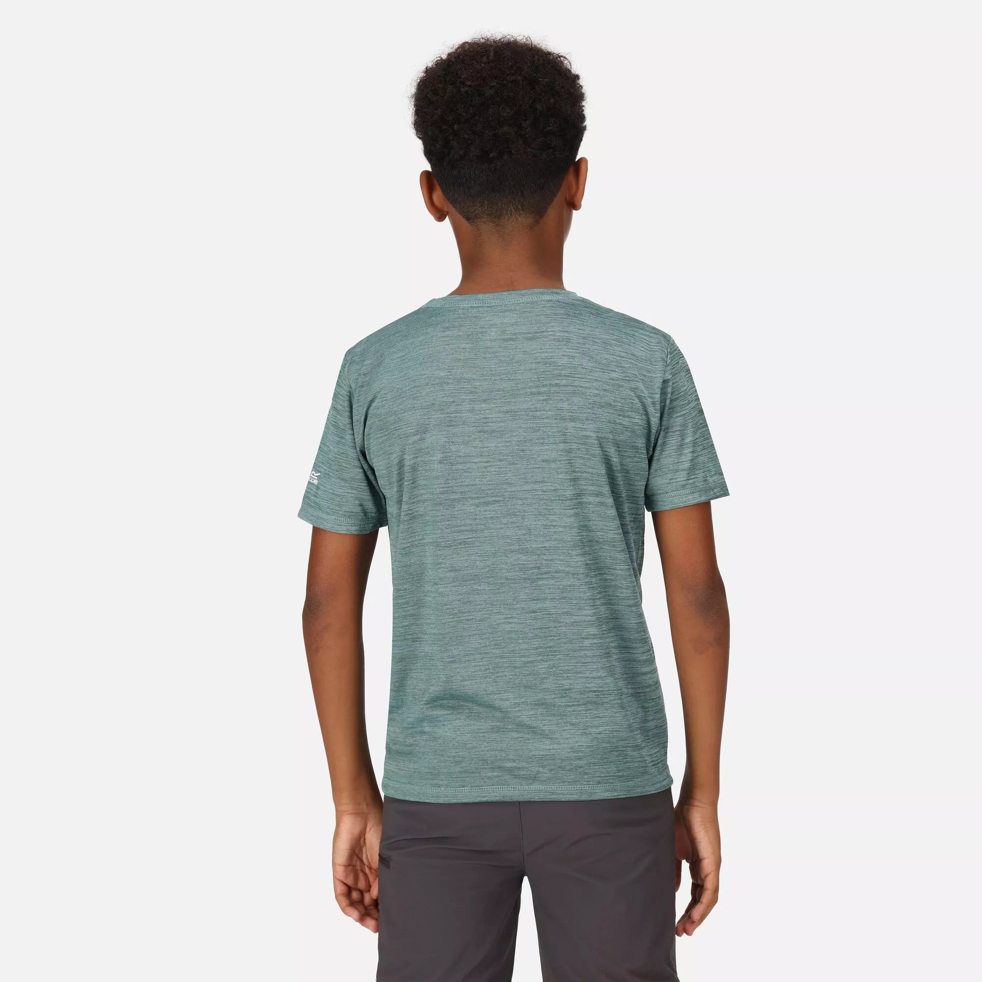 Regatta Alvarado VII Graphic T-Shirt | Regatta | Portwest - The Outdoor Shop